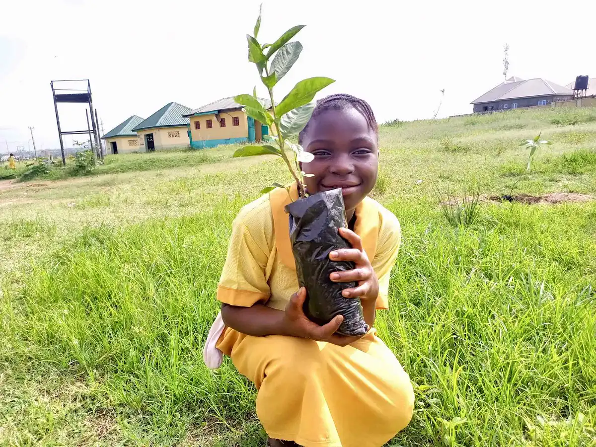 Farmer practicing FMNR