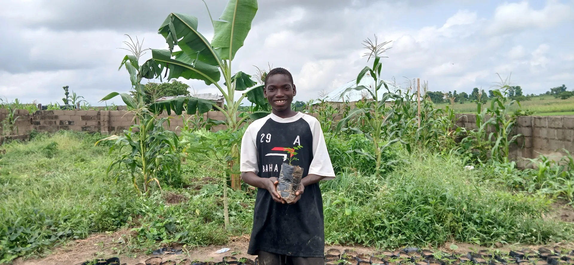 Solar energy implementation