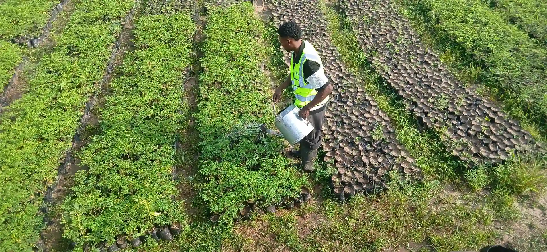 Child in need of help