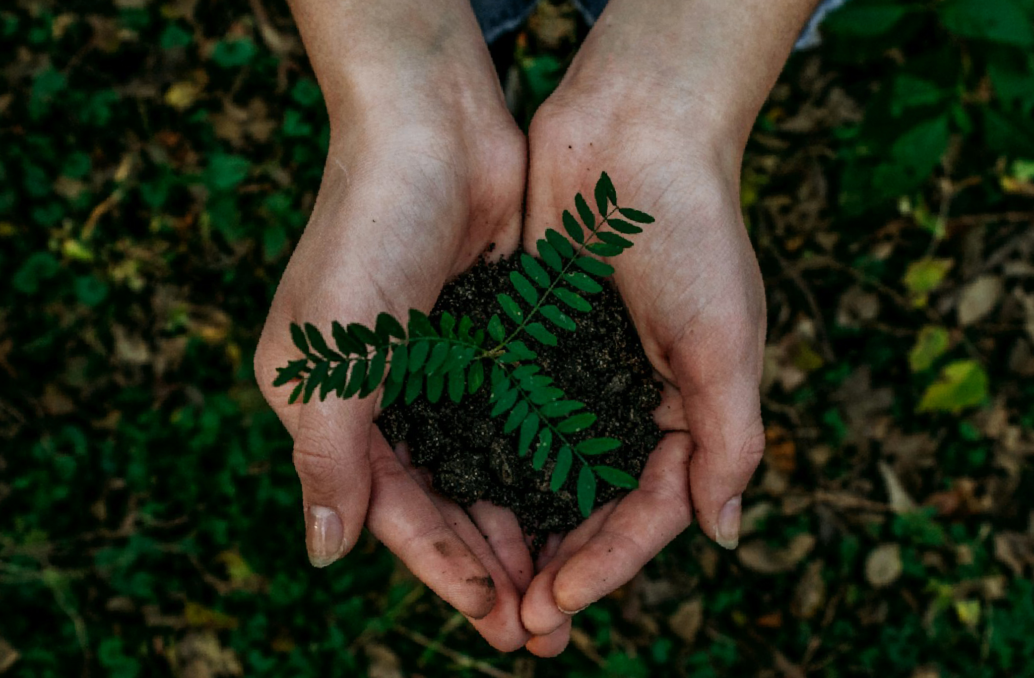 School renovation project